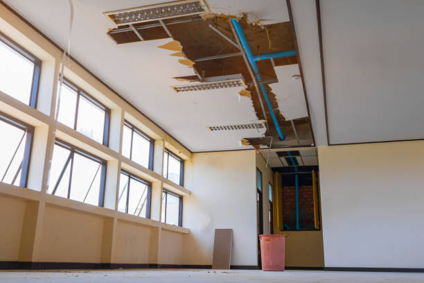 Best Fire Damage Restoration  in Lodi, CA