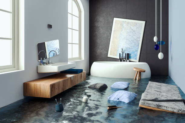 Best Water damage restoration company  in Lodi, CA