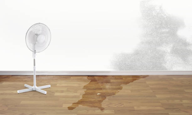 Best Ceiling water damage repair  in Lodi, CA