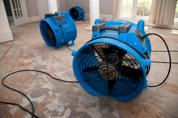 Best Commercial water damage restoration  in Lodi, CA