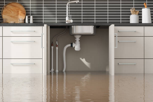 Best 24-hour water damage restoration  in Lodi, CA