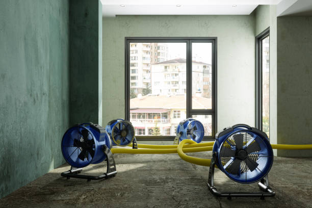 Professional Water damage restoration in Lodi, CA