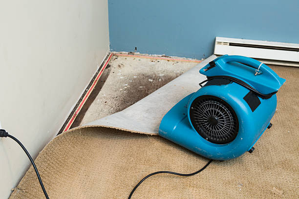 Best Commercial water damage restoration  in Lodi, CA